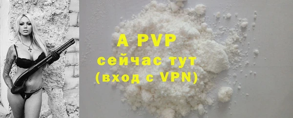 гашик Арсеньев