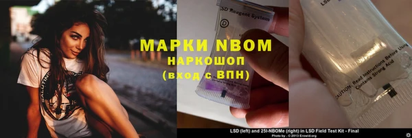 гашик Арсеньев