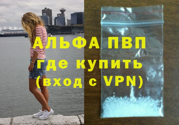 гашик Арсеньев