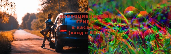 первитин Аркадак