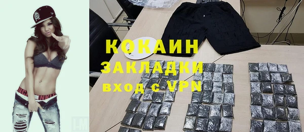 гашик Арсеньев