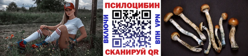 Псилоцибиновые грибы прущие грибы Пенза